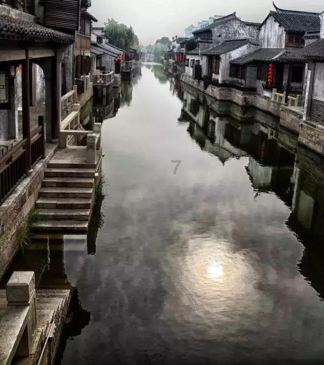 小猪佩奇饲养员